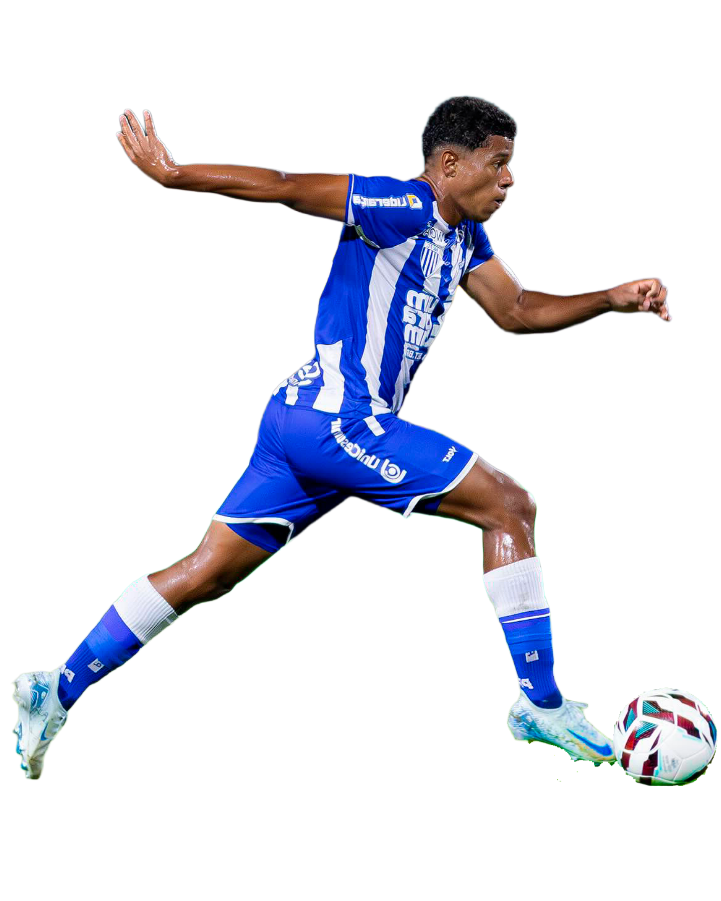 Descrição Imagem